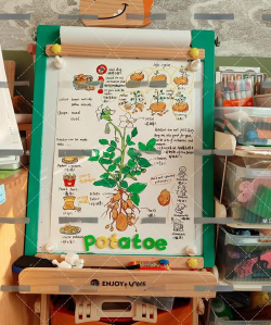 爪土豆的英语游戏怎么玩，轻松掌握规则，快速提升英语能力