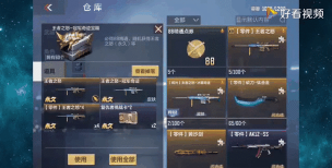 cf手游王者之怒多少钱，价格解析与获取途径，性价比深度分析