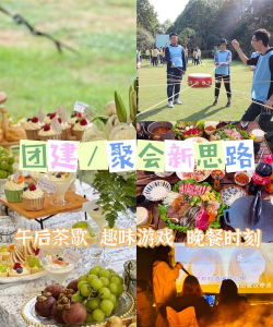 野吹是什么游戏，玩法特色，适合人群