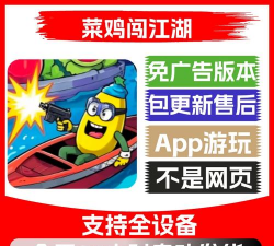 菜鸡小游戏，玩不了怎么办，常见原因与解决