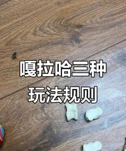 噶肉是什么游戏，玩法简单，上手容易