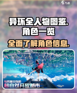 动画异次元是什么游戏，玩法特色解析，适合哪些玩家