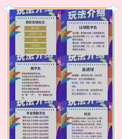 竞彩游戏规则图解，玩法详解，新手入门指南