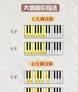 网上钢琴音乐游戏怎么玩，新手入门指南，快速上手技巧