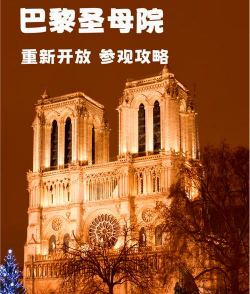 巴黎圣母院游戏攻略，新手入门指南，快速通关技巧