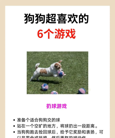狗子玩什么游戏好累，游戏选择多，主人要会挑