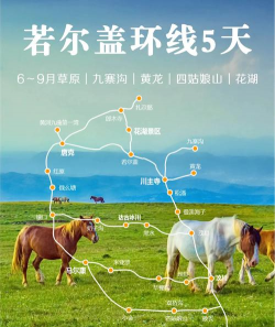 若尔盖自驾游攻略游戏，路线规划技巧，沿途风景推荐